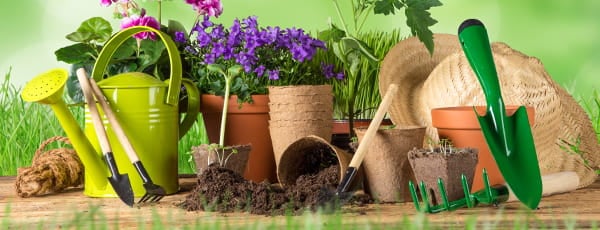 10 tipů pro začínající zahrádkáře