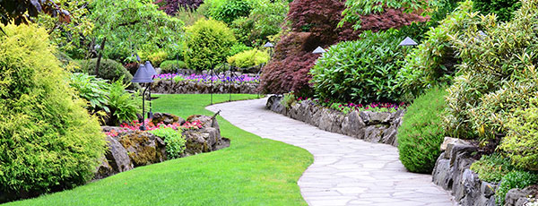 Péče o trávník v létě: zalévání, výživa a ochrana proti plevelům