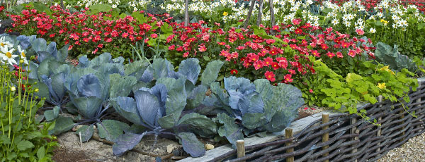 Vyvýšené záhony - výhody a nevýhody