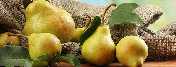 Zahradnický kalendář na srpen