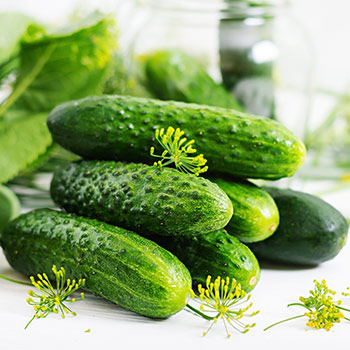 Cizosprašné okurky