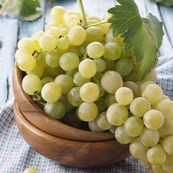 Hrozny stolní