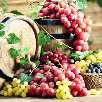 Hrozny vinné