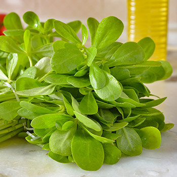 Portulaka
