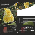 Růže floribunda Urban ™ Fashion ®, С3 artikel fotografie 2 Růže floribunda Urban ™ Fashion ®, С3 obrázek 2 artikel 5008