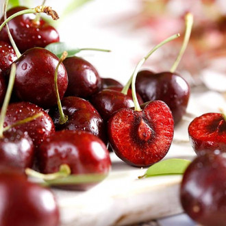 Třešeň Lapins obrázek 15