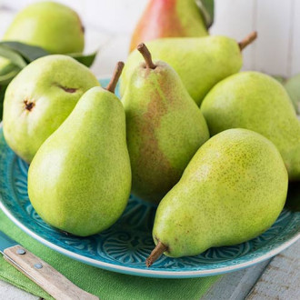 Hrušeň Passe Crassane obrázek 7