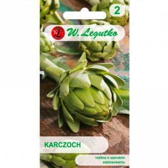 Artyčok Gros Vert de Laon obrázek 11