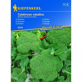 Brokolice Calabrese natalino obrázek 1