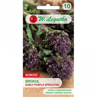 Brokolice Early Purple Sprouting obrázek 5