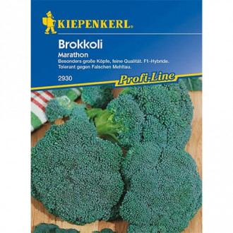 Brokolice Marathon F1 obrázek 1
