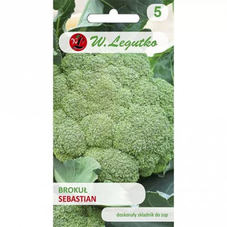 Brokolice Sebastian obrázek 5