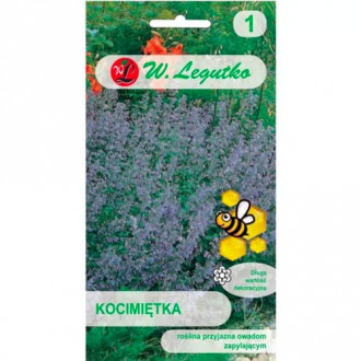 Catnip modrofialová obrázek 11