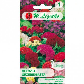 Celosia hřeben, směs obrázek 4