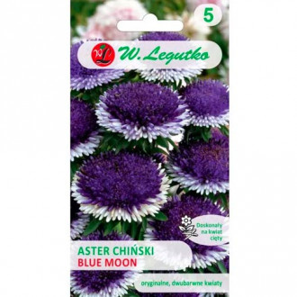 Hvězdnice čínská Liliput Blue Moon obrázek 15