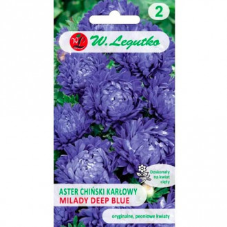 Hvězdnice čínská trpaslík Milady Deep Blue obrázek 11