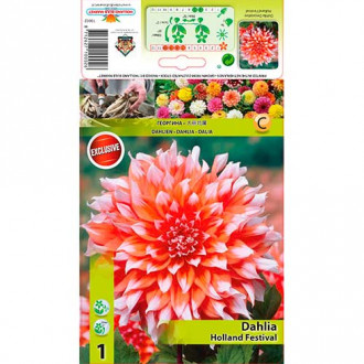 Jiřina Holland Festival obrázek 12