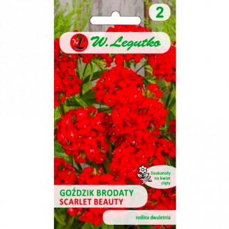 Karafiát vousatý Scarlet Beauty obrázek 15