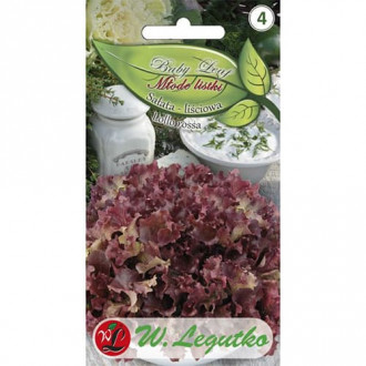 Listový salát Lollo rossa - Baby Leaf obrázek 4