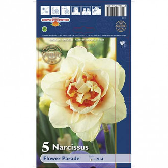 Narcis Flower Parade obrázek 5
