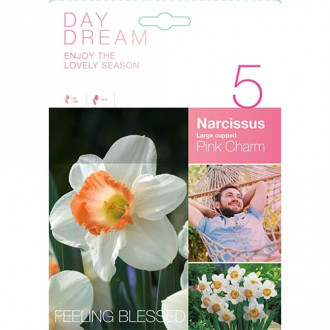 Narcis Pink Charm obrázek 5