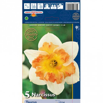 Narcis Taurus obrázek 5
