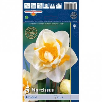 Narcis Unique obrázek 1