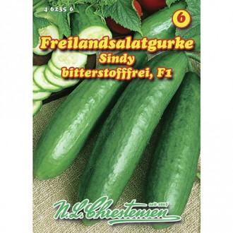 Okurka Sindy F1 obrázek 4