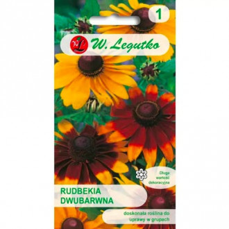 Rudbeckia bicolor, směs obrázek 4