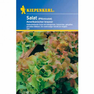 Salát listový Frisée d'Amérique obrázek 5