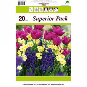 Super nabídka! Sada narcisů, tulipánů, hyacintů z 20 cibulek obrázek 1