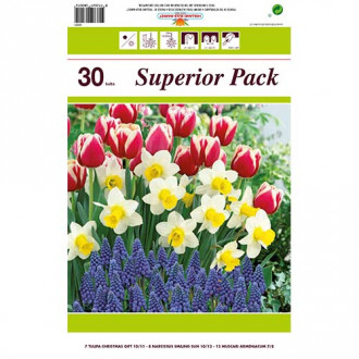 Super nabídka! Sada narcisů, tulipánů, modřenců z 30 cibulek obrázek 2