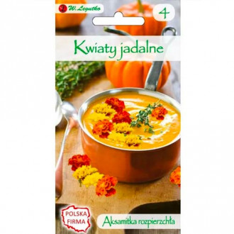 Tagetes rozptýlené, směs - Jedlé květy obrázek 2
