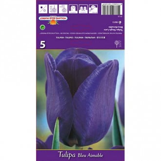 Tulipán Blue Amaible obrázek 6