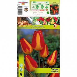 Tulipán Florette obrázek 5