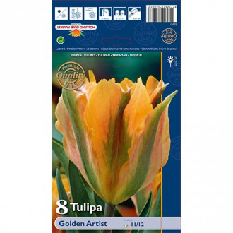 Tulipán Golden Artist obrázek 1