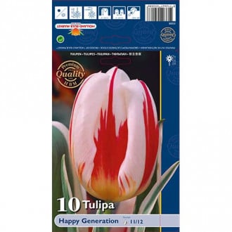 Tulipán Happy Generation obrázek 1