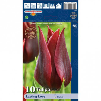 Tulipán Lasting Love obrázek 1