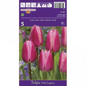 Tulipán Pink Surprise obrázek 3