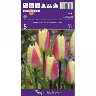 Tulipán Silk Surprise obrázek 1