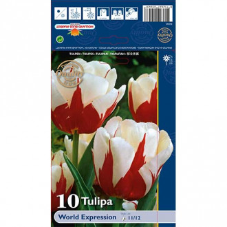 Tulipán World Expression obrázek 1