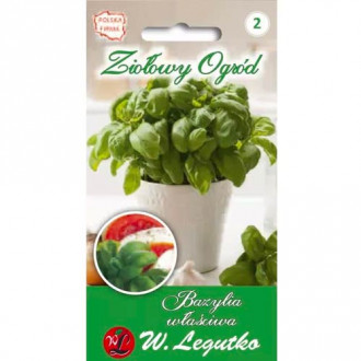 Zelenolistá bazalka obrázek 5