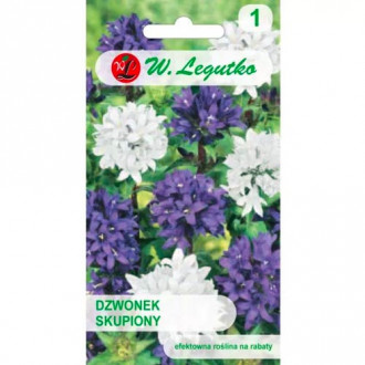 Zvonek zaměřené, směs obrázek 11