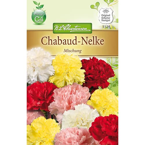 Hvozdík zahradní, směs obrázek 1 artikel 78909