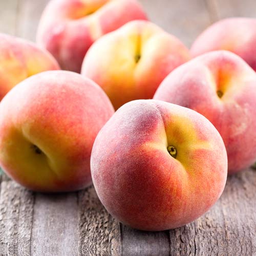 Broskvoň Platybest obrázek 1 artikel 4300