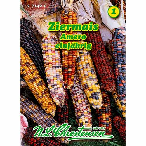 Okrasná kukuřice Amero, směs obrázek 1 artikel 96457