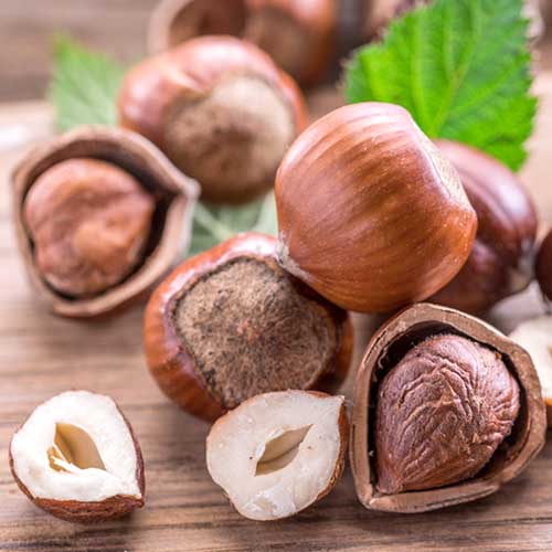 Líska Ennis obrázek 1 artikel 6934