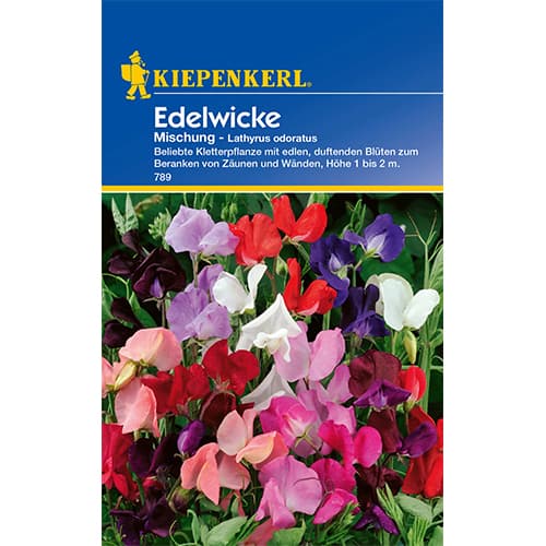 Hrachor vonný, směs obrázek 1 artikel 77415