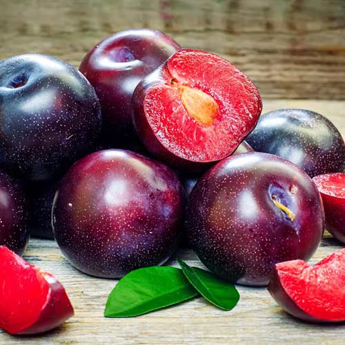 Slivoň Sonic Lady, С2 obrázek 1 artikel 4313