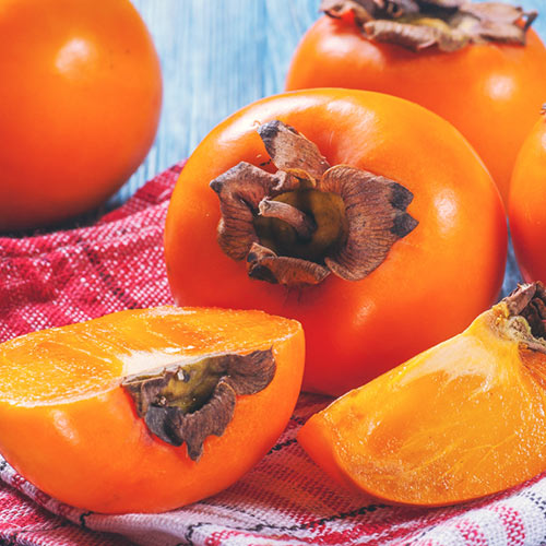 Tomel japonský Chocolate obrázek 1 artikel 4284